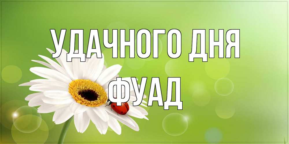 Открытка на каждый день с именем, Фуад Удачного дня зеленый фон и ромашка Прикольная открытка с пожеланием онлайн скачать бесплатно 