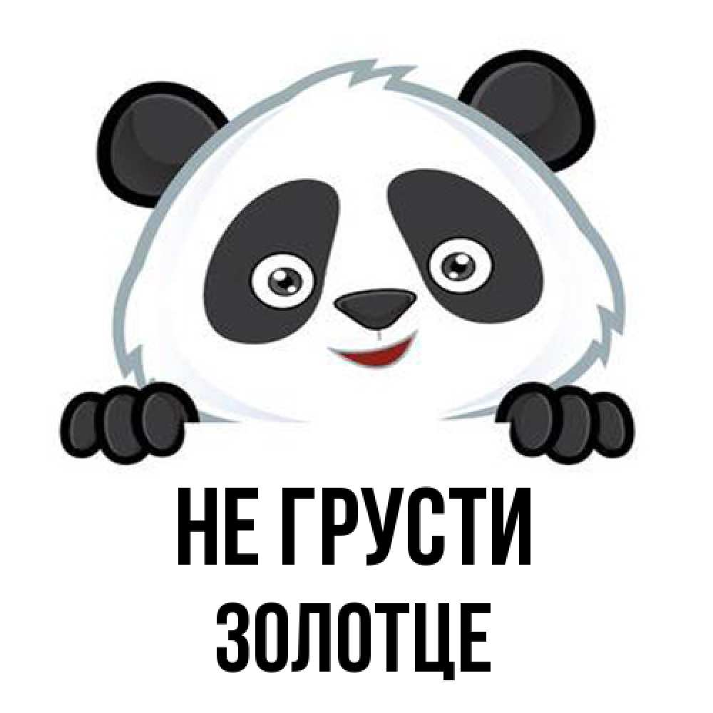 Открытка на каждый день с именем, Золотце Не грусти не надо печалиться Прикольная открытка с пожеланием онлайн скачать бесплатно 