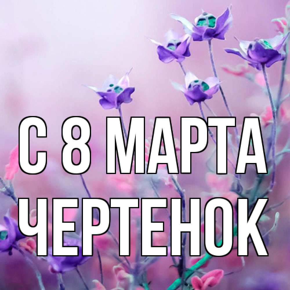 Открытка на каждый день с именем, чеpтенок C 8 МАРТА международный женский день 2 Прикольная открытка с пожеланием онлайн скачать бесплатно 