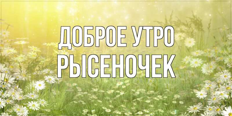 Картинка Доброе утро, Рысеночек
