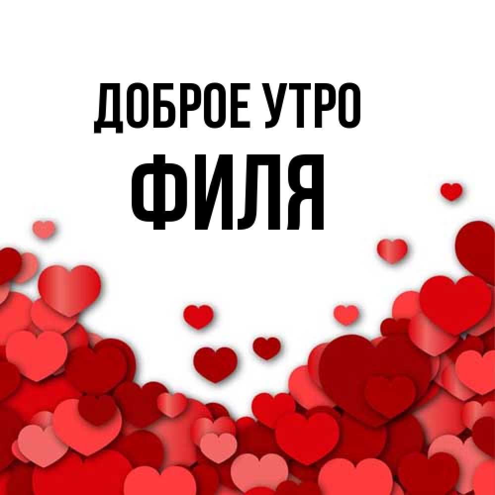 Открытка на каждый день с именем, Филя Доброе утро хорошего настроения Прикольная открытка с пожеланием онлайн скачать бесплатно 