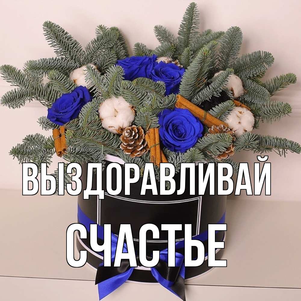 Открытка на каждый день с именем, счастье Выздоравливай короче кто то загрузил эти шишки Прикольная открытка с пожеланием онлайн скачать бесплатно 