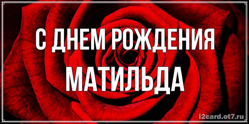 Открытка на каждый день с именем, Матильда С днем рождения алая роза Прикольная открытка с пожеланием онлайн скачать бесплатно 
