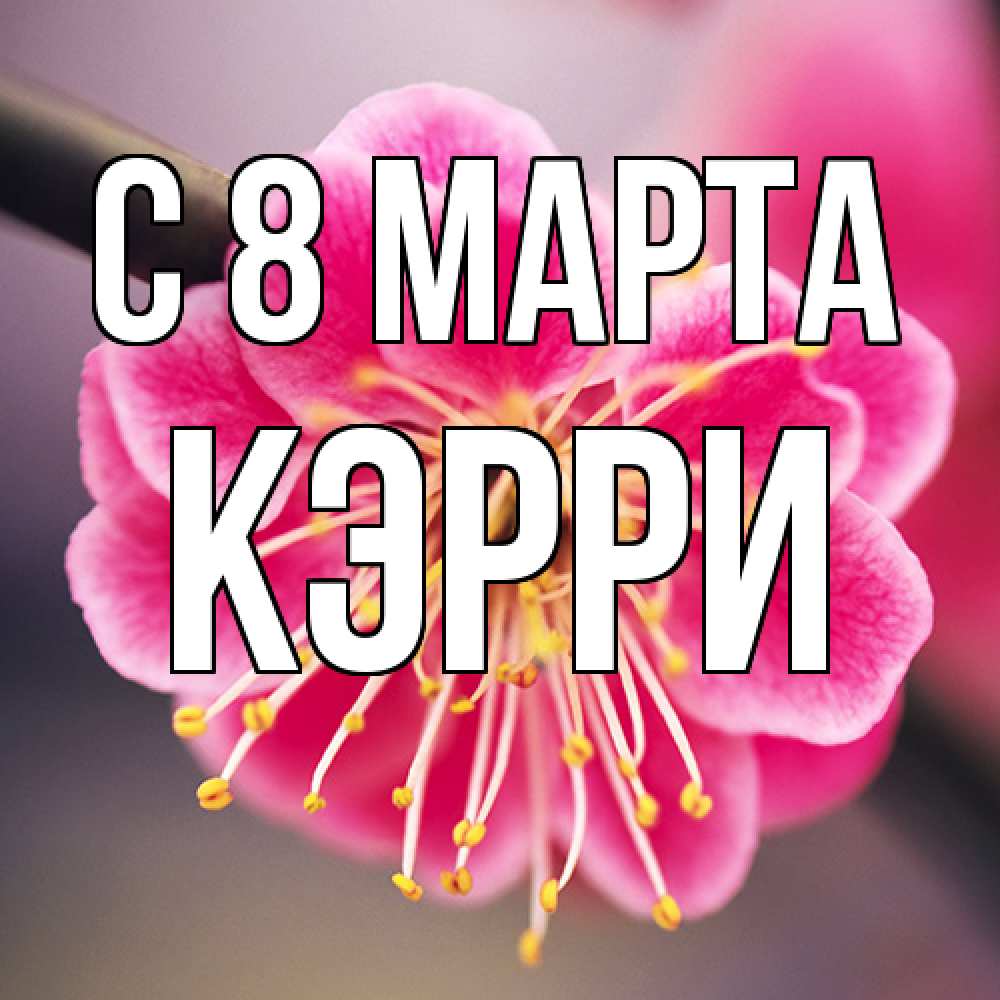Открытка на каждый день с именем, Кэрри C 8 МАРТА цветы Прикольная открытка с пожеланием онлайн скачать бесплатно 