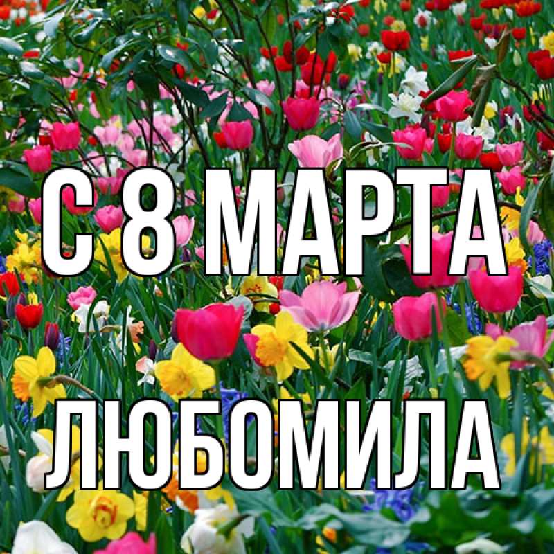 Картинка C 8 МАРТА, Любомила