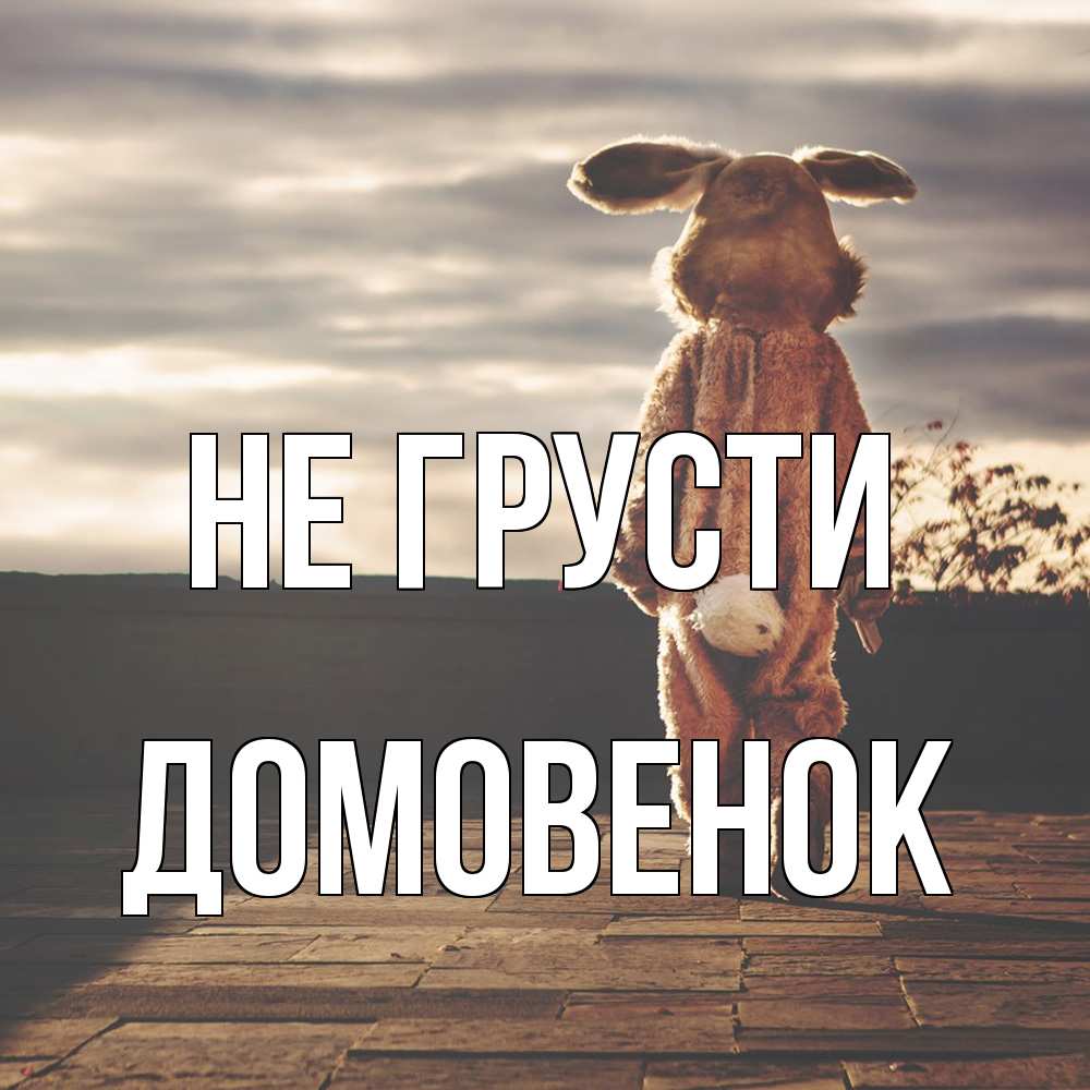 Открытка на каждый день с именем, Домовенок Не грусти со спины Прикольная открытка с пожеланием онлайн скачать бесплатно 