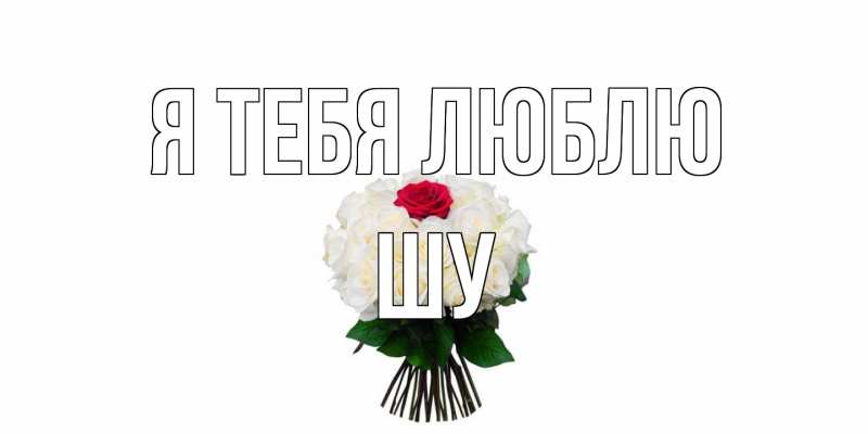 Картинка Я тебя люблю, Шу