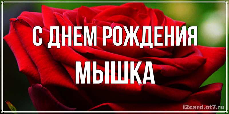 Картинка С днем рождения, Мышка