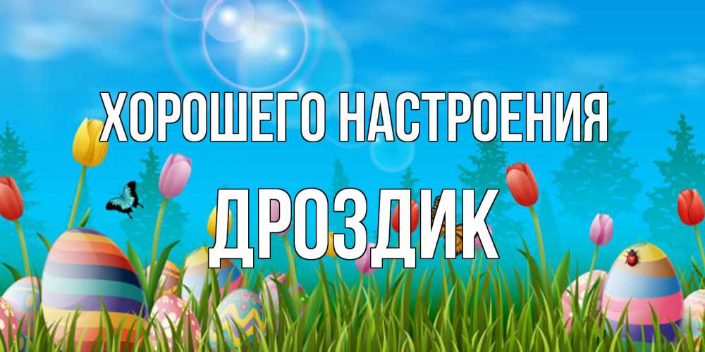 Открытка на каждый день с именем, Дроздик Хорошего настроения небо и тюльпаны с бабочкой Прикольная открытка с пожеланием онлайн скачать бесплатно 