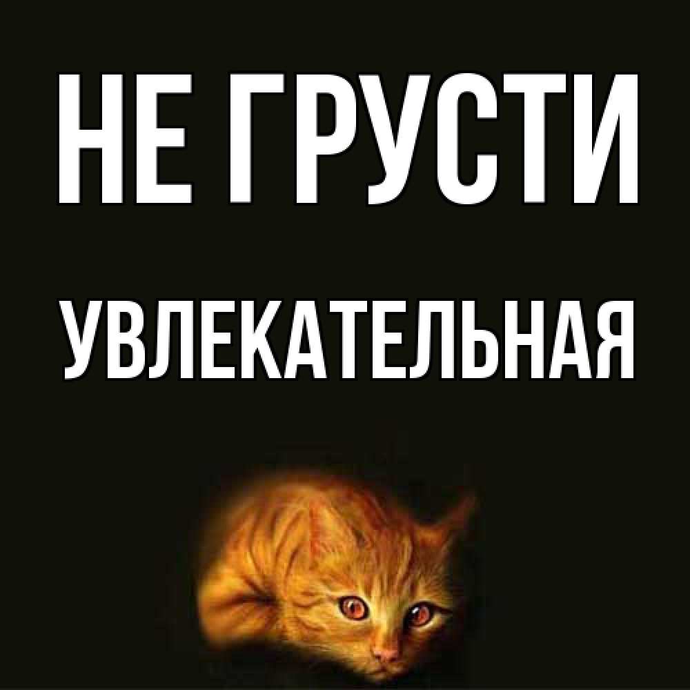 Открытка на каждый день с именем, Увлекательная Не грусти лежащий кот в темноте Прикольная открытка с пожеланием онлайн скачать бесплатно 