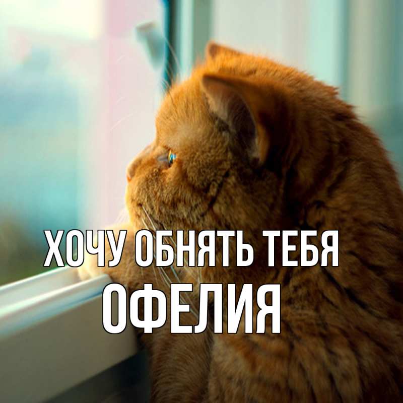 Картинка Хочу обнять тебя, Офелия