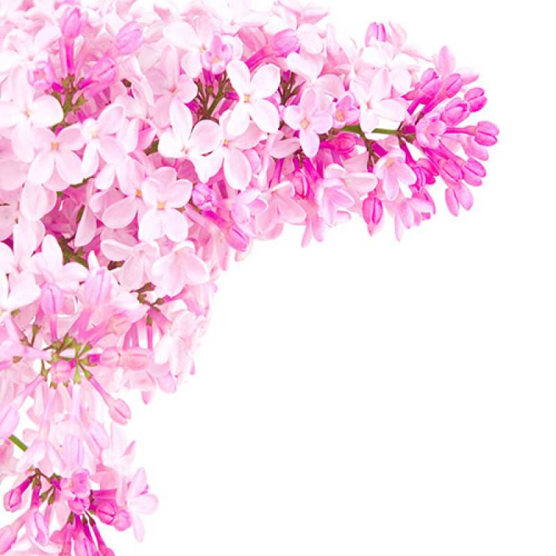 Картинка С днем рождения, Егор