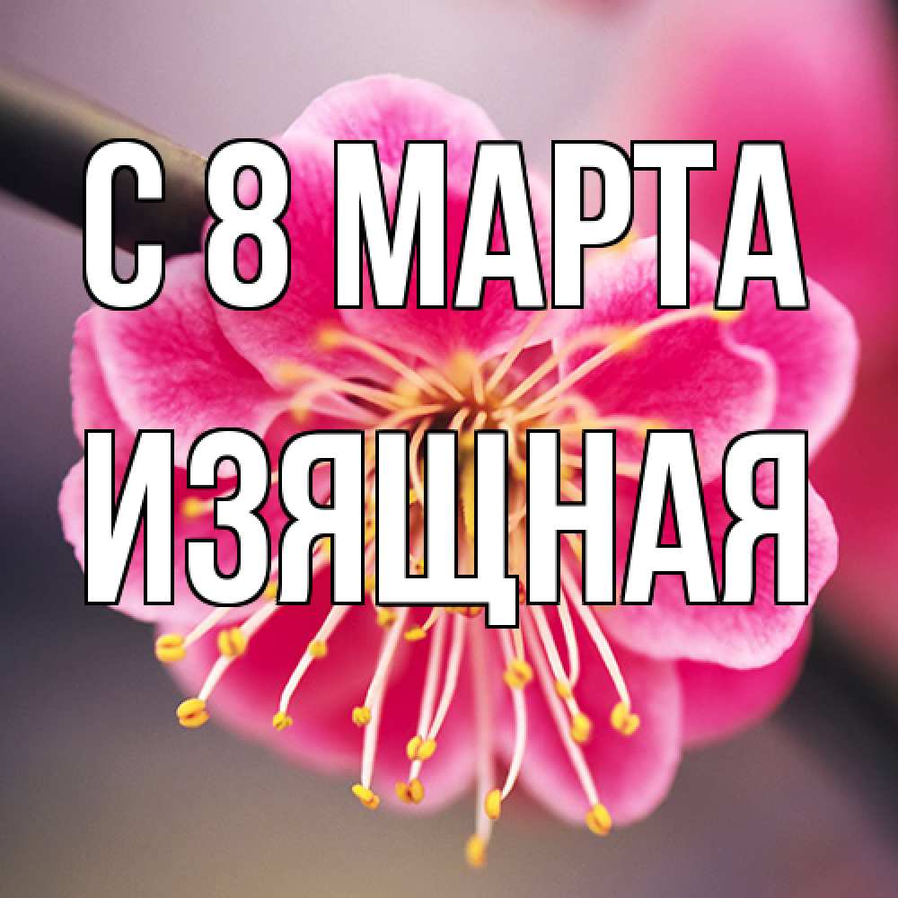 Открытка на каждый день с именем, Изящная C 8 МАРТА цветы Прикольная открытка с пожеланием онлайн скачать бесплатно 