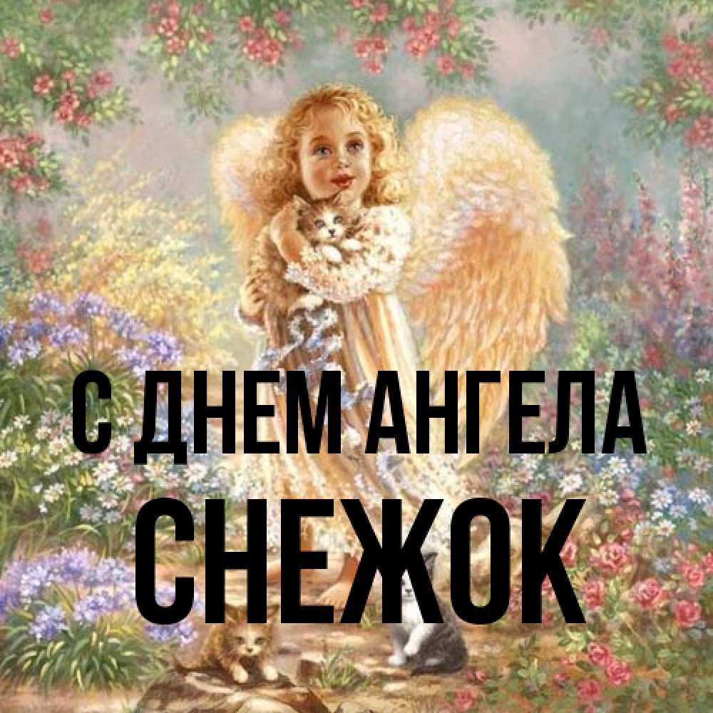 Открытка на каждый день с именем, снежок С днем ангела держит котенка Прикольная открытка с пожеланием онлайн скачать бесплатно 