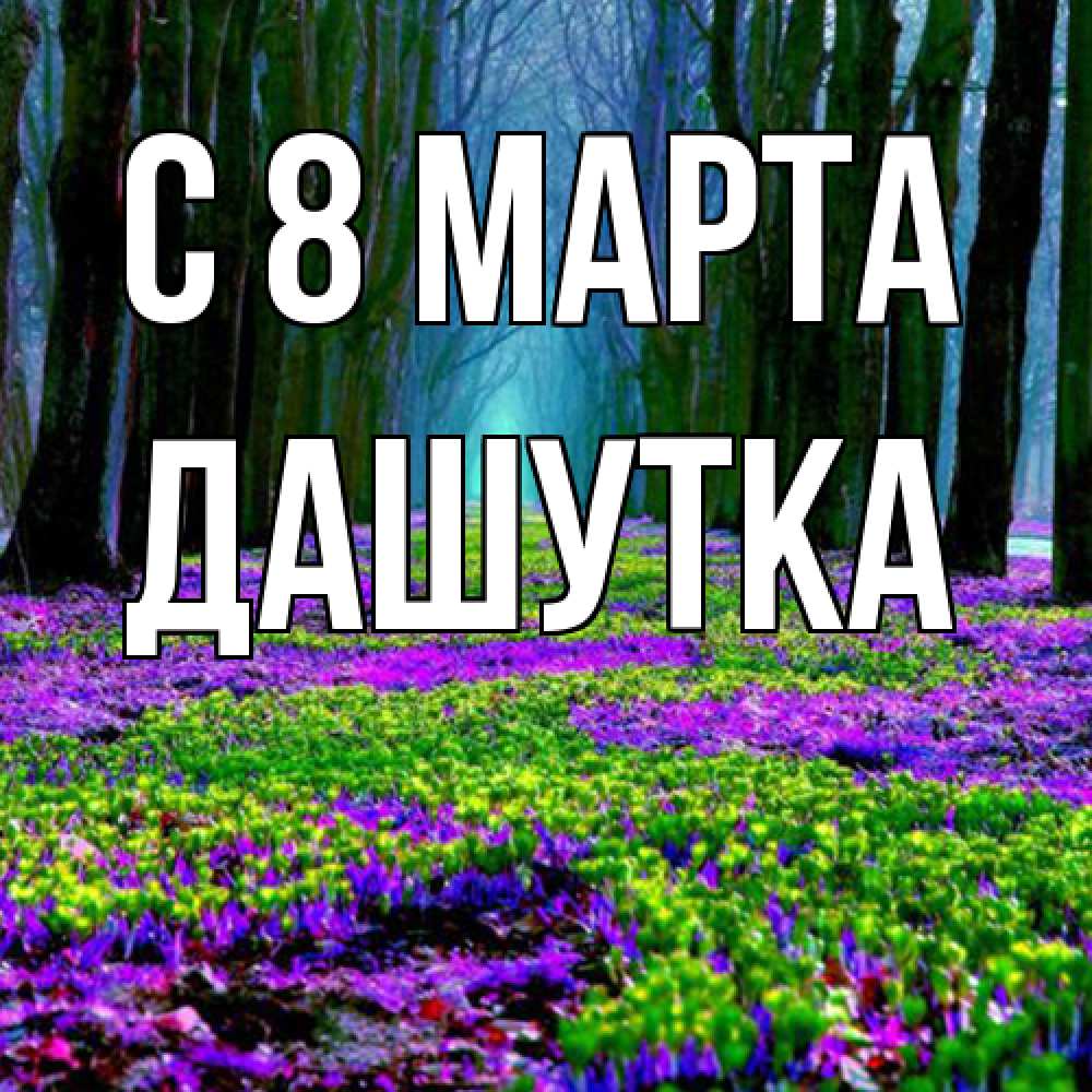 Открытка на каждый день с именем, Дашутка C 8 МАРТА фиолетовые цветы в лесу 1 Прикольная открытка с пожеланием онлайн скачать бесплатно 