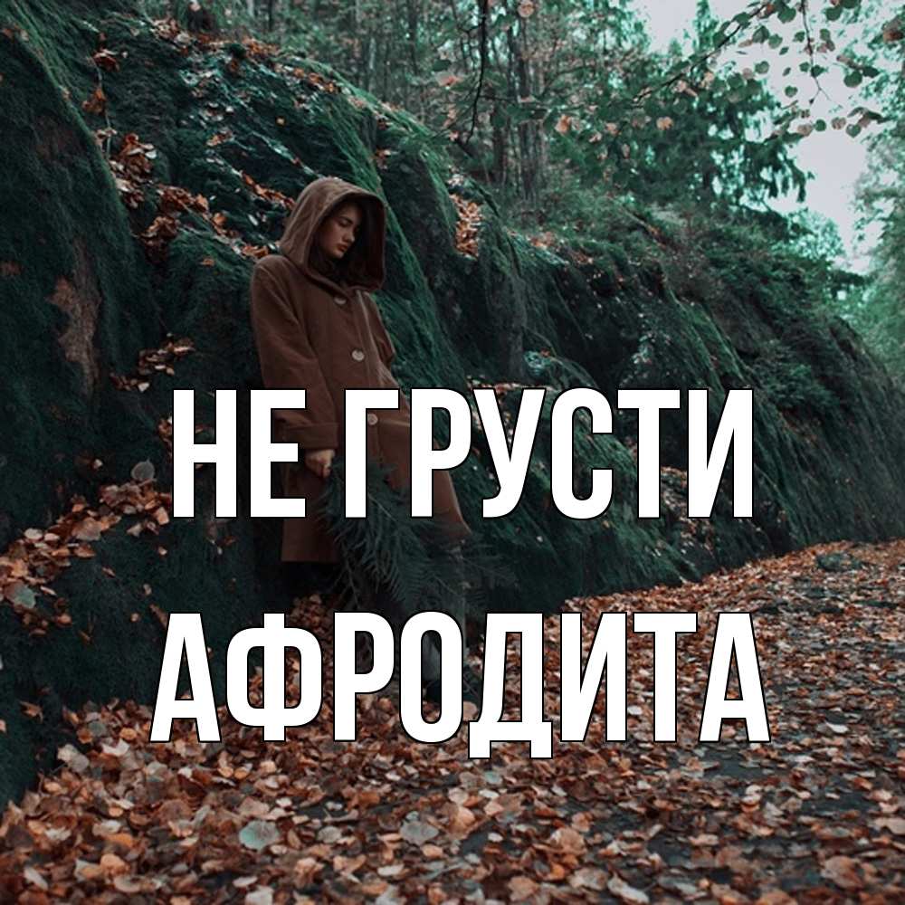 Открытка на каждый день с именем, Афродита Не грусти осенний лес Прикольная открытка с пожеланием онлайн скачать бесплатно 