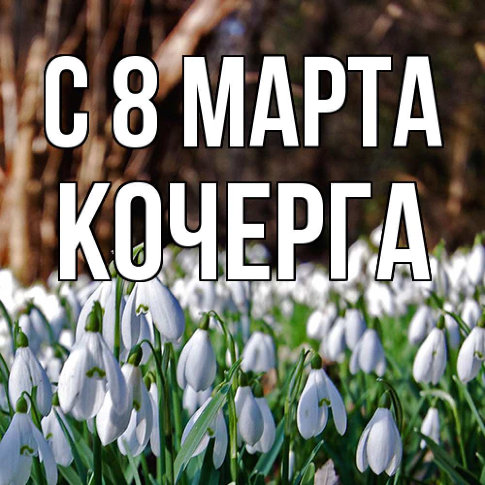 Открытка на каждый день с именем, Кочерга C 8 МАРТА с подснежниками 1 Прикольная открытка с пожеланием онлайн скачать бесплатно 