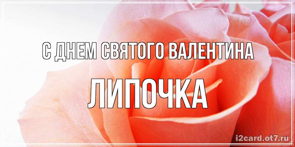 Открытка на каждый день с именем, Липочка С днем Святого Валентина открытка на день Святого Валентина с розовой розой Прикольная открытка с пожеланием онлайн скачать бесплатно 