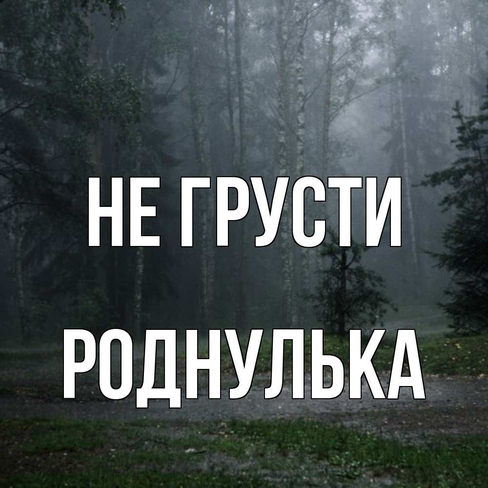 Открытка на каждый день с именем, Роднулька Не грусти осень Прикольная открытка с пожеланием онлайн скачать бесплатно 