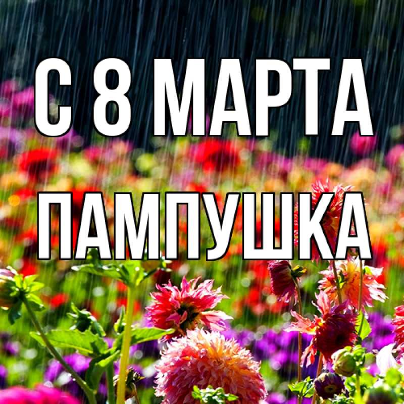 Картинка C 8 МАРТА, Пампушка