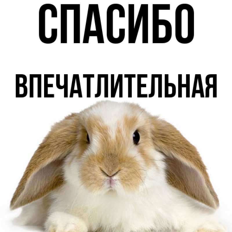 Картинка Спасибо, впечатлительная