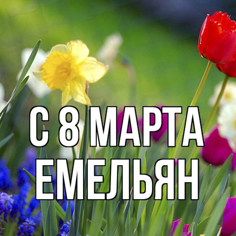 Картинка C 8 МАРТА, Емельян