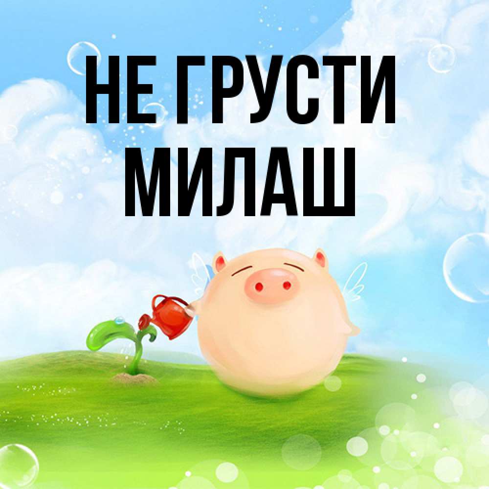 Открытка на каждый день с именем, Милаш Не грусти поливает цветок порося Прикольная открытка с пожеланием онлайн скачать бесплатно 