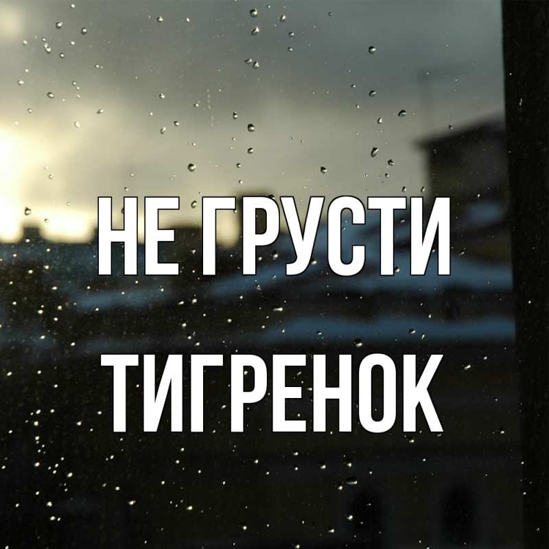Картинка Не грусти, Тигpенок