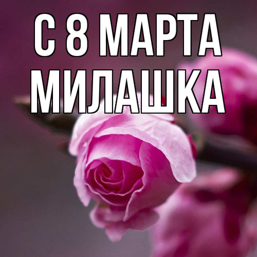 Открытка на каждый день с именем, Милашка C 8 МАРТА весна Прикольная открытка с пожеланием онлайн скачать бесплатно 