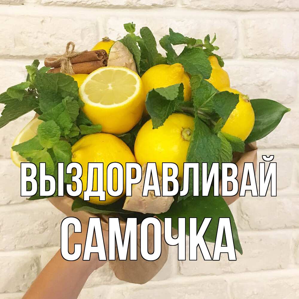 Открытка на каждый день с именем, Самочка Выздоравливай витамины Прикольная открытка с пожеланием онлайн скачать бесплатно 