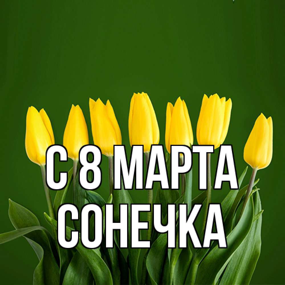 Открытка на каждый день с именем, Сонечка C 8 МАРТА желтого цвета 3 Прикольная открытка с пожеланием онлайн скачать бесплатно 
