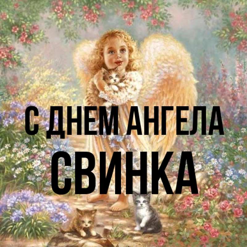 Картинка С днем ангела, Свинка