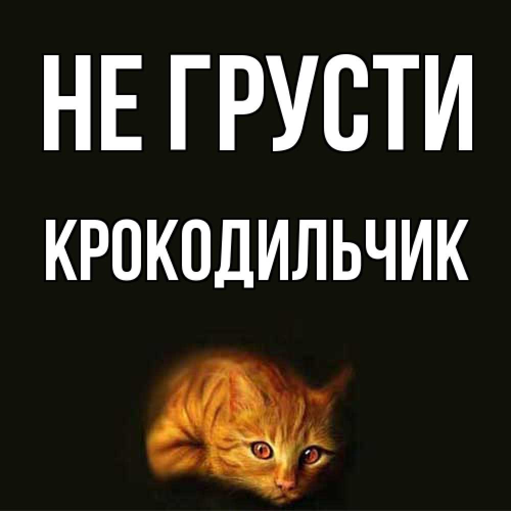 Открытка на каждый день с именем, Крокодильчик Не грусти лежащий кот в темноте Прикольная открытка с пожеланием онлайн скачать бесплатно 