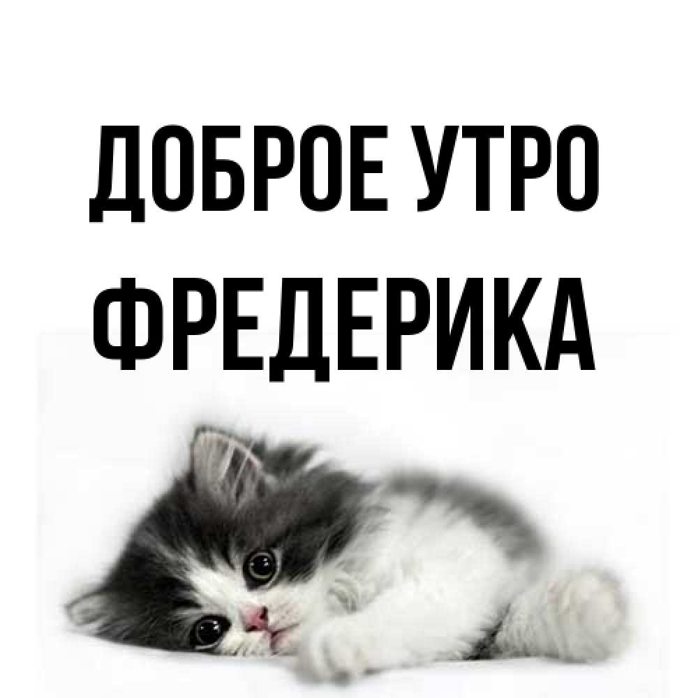 Открытка на каждый день с именем, Фредерика Доброе утро кот лапки Прикольная открытка с пожеланием онлайн скачать бесплатно 