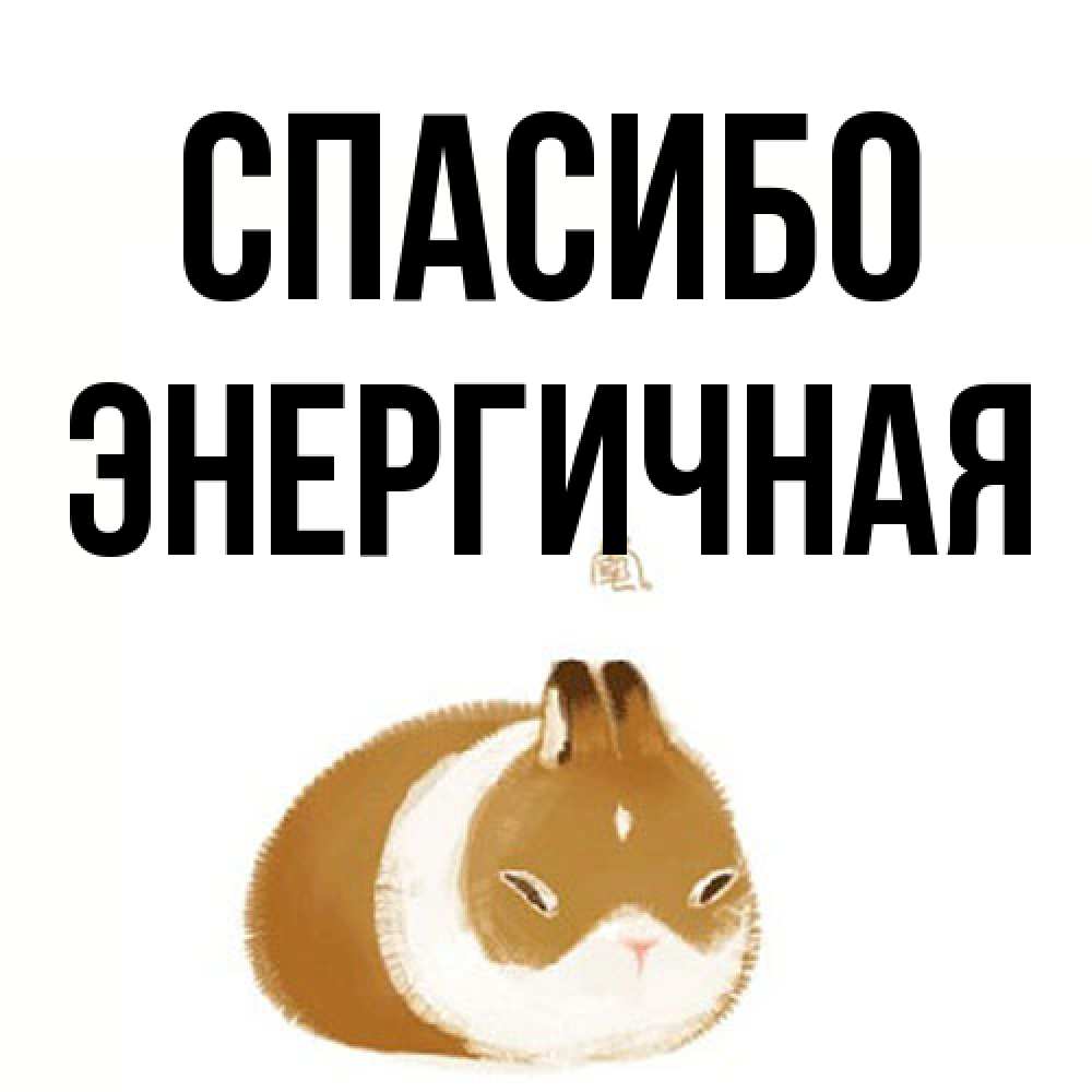 Открытка на каждый день с именем, Энергичная Спасибо коричнево белый домашний питомец Прикольная открытка с пожеланием онлайн скачать бесплатно 