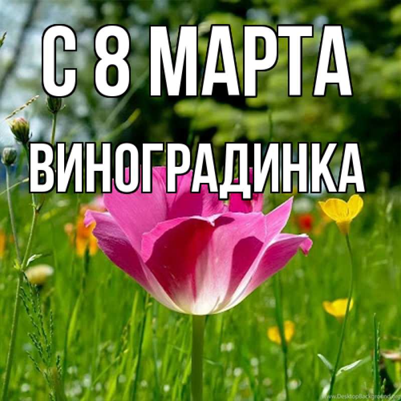 Картинка C 8 МАРТА, виноградинка