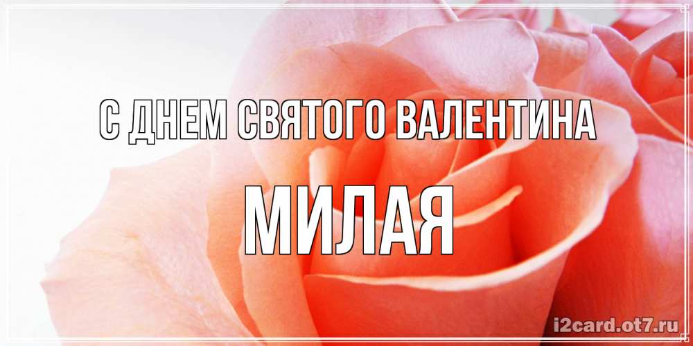 Открытка на каждый день с именем, Милая С днем Святого Валентина открытка на день Святого Валентина с розовой розой Прикольная открытка с пожеланием онлайн скачать бесплатно 