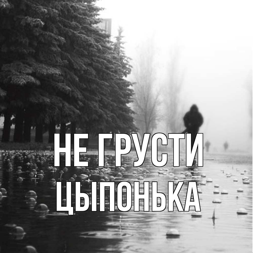 Открытка на каждый день с именем, Цыпонька Не грусти улица под дождем Прикольная открытка с пожеланием онлайн скачать бесплатно 