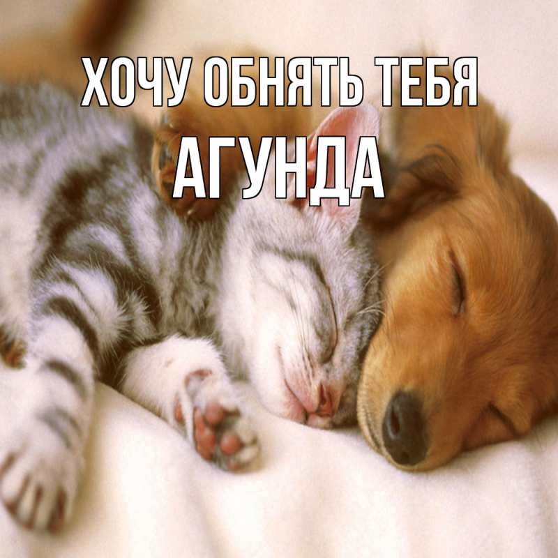 Картинка Хочу обнять тебя, Агунда