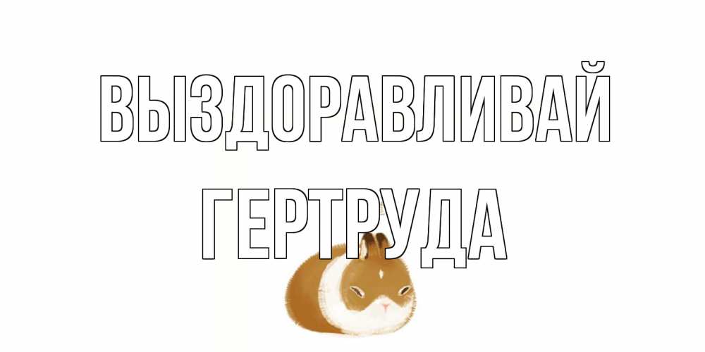Открытка на каждый день с именем, Гертруда Выздоравливай морская свинка на открытке с пожеланиями не болеть Прикольная открытка с пожеланием онлайн скачать бесплатно 