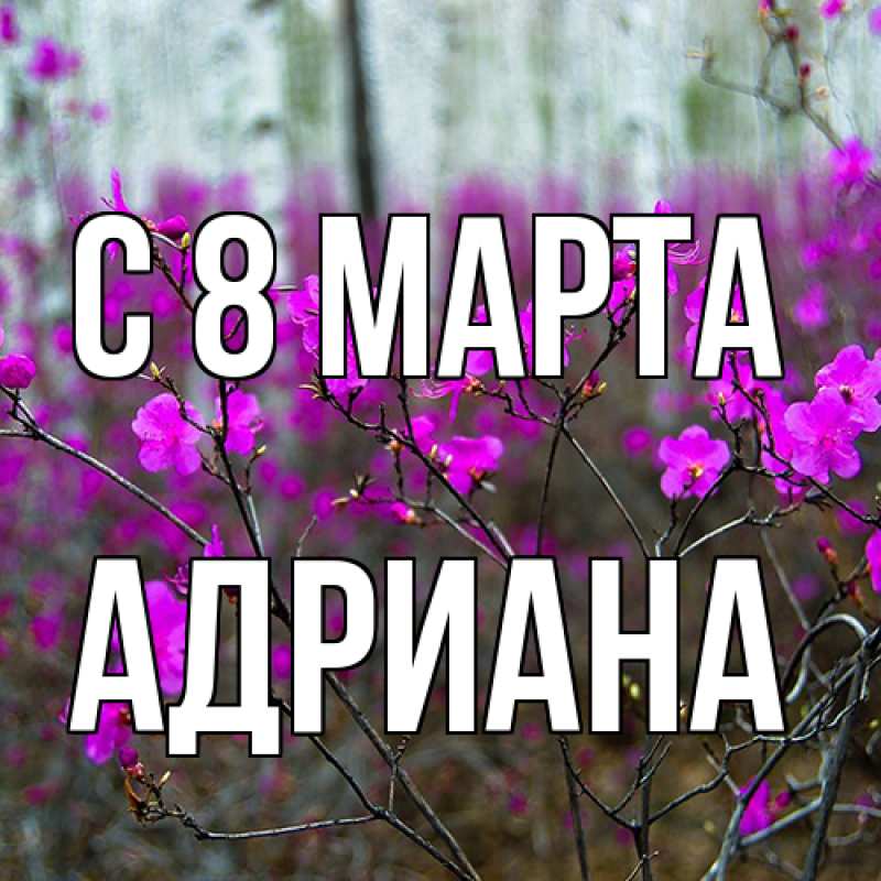 Картинка C 8 МАРТА, Адриана