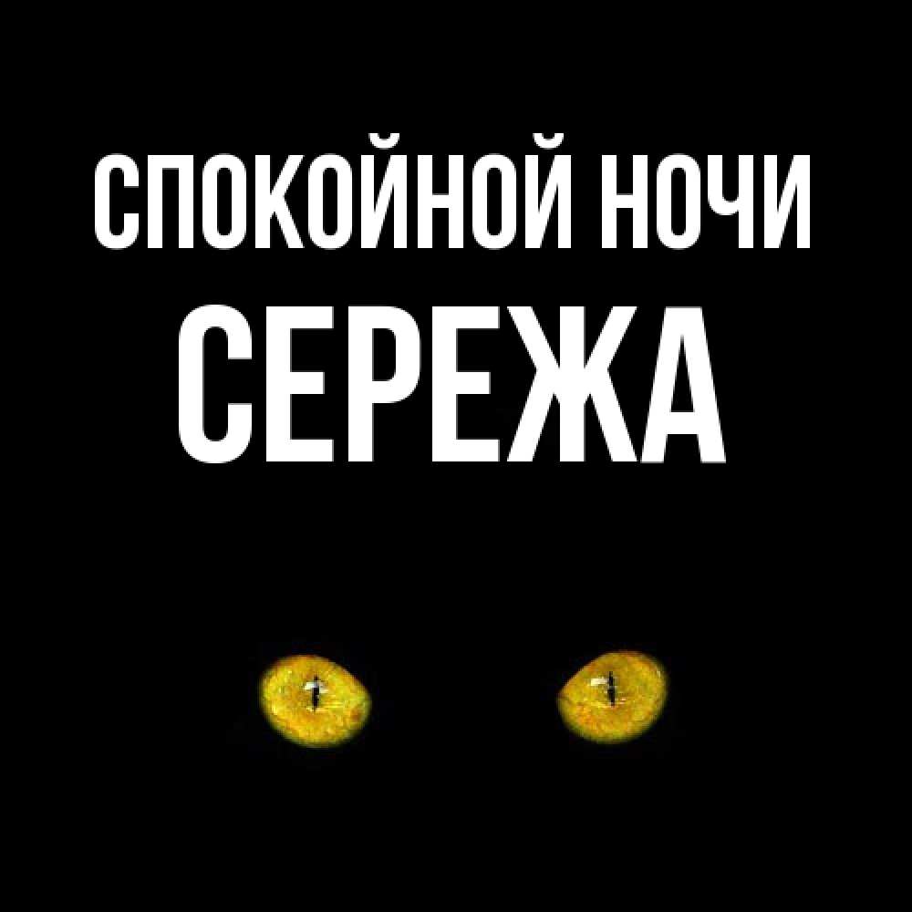 Открытка на каждый день с именем, Сережа Спокойной ночи сладких снов бесстрашный мой дружочек Прикольная открытка с пожеланием онлайн скачать бесплатно 