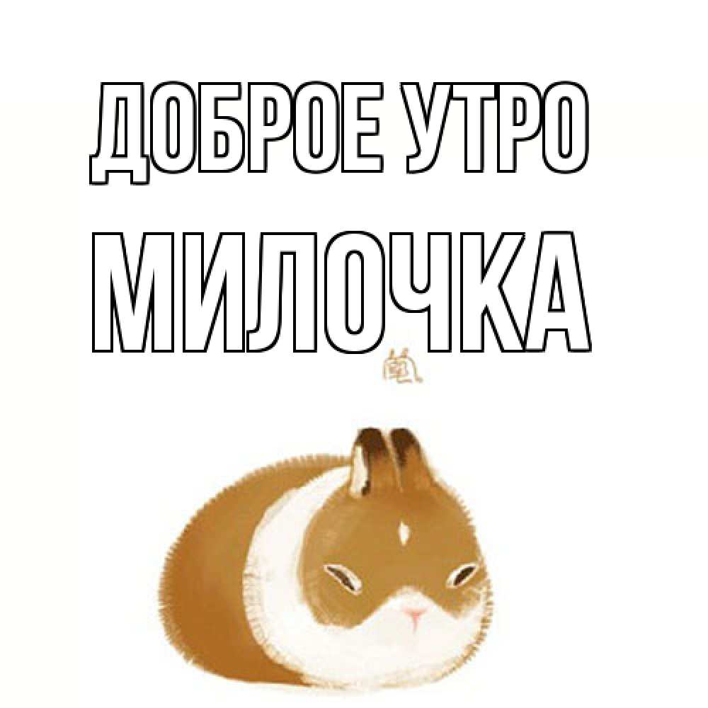 Открытка на каждый день с именем, Милочка Доброе утро хорошего утречка Прикольная открытка с пожеланием онлайн скачать бесплатно 