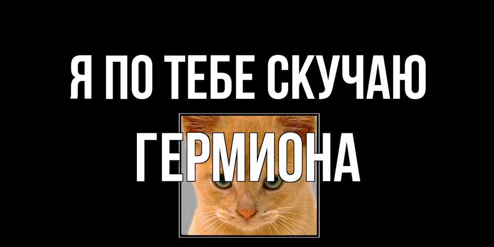 Открытка на каждый день с именем, Гермиона Я по тебе скучаю открытки рыжий котенок скучает по тебе Прикольная открытка с пожеланием онлайн скачать бесплатно 