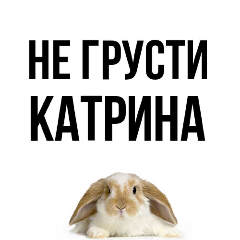 Картинка Не грусти, Катрина