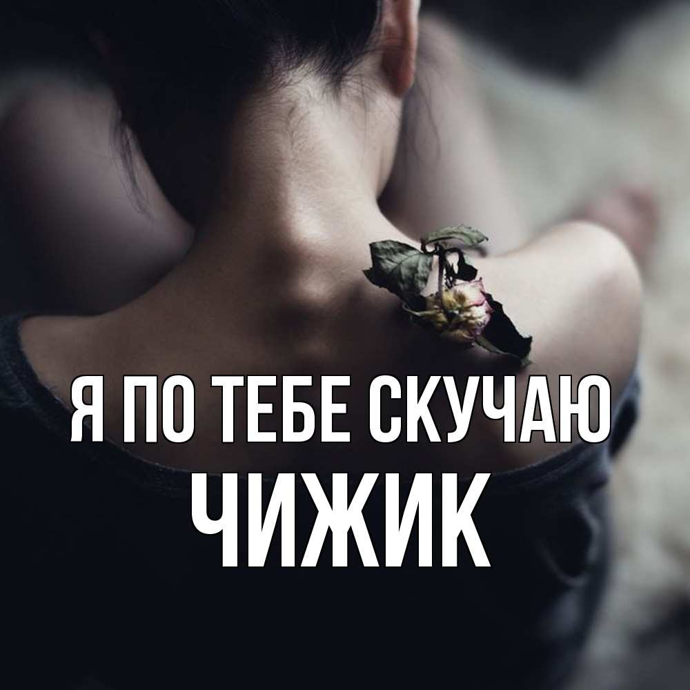 Открытка на каждый день с именем, Чижик Я по тебе скучаю засох цветок Прикольная открытка с пожеланием онлайн скачать бесплатно 