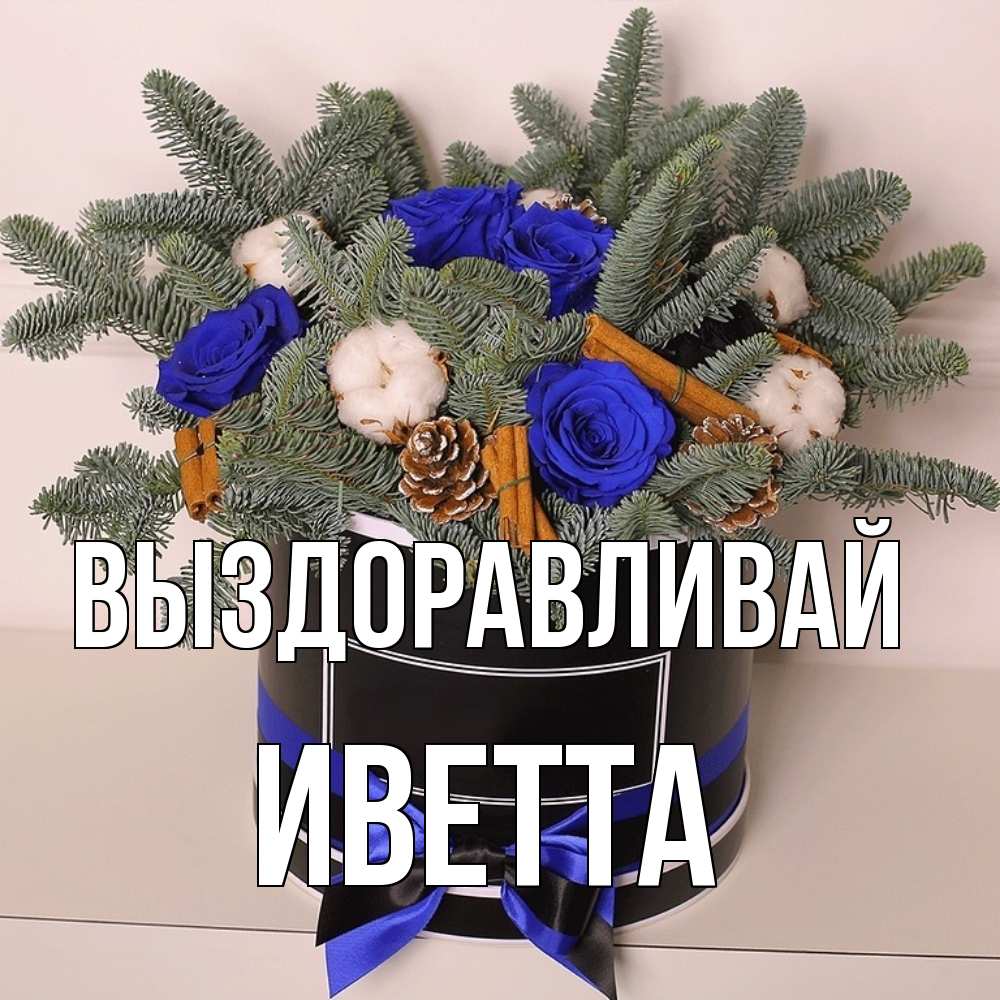 Открытка на каждый день с именем, Иветта Выздоравливай короче кто то загрузил эти шишки Прикольная открытка с пожеланием онлайн скачать бесплатно 