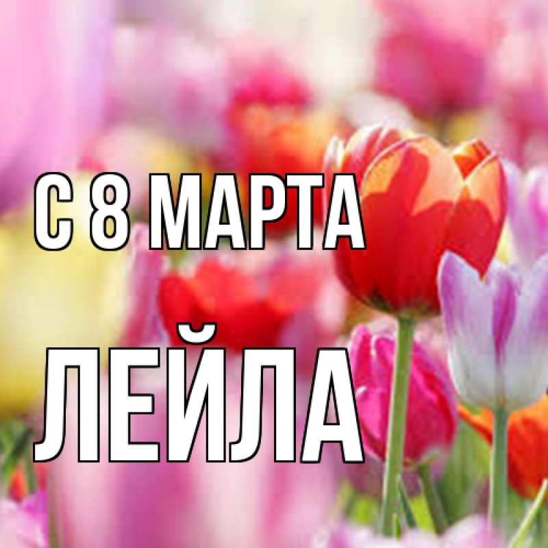Картинка C 8 МАРТА, Лейла