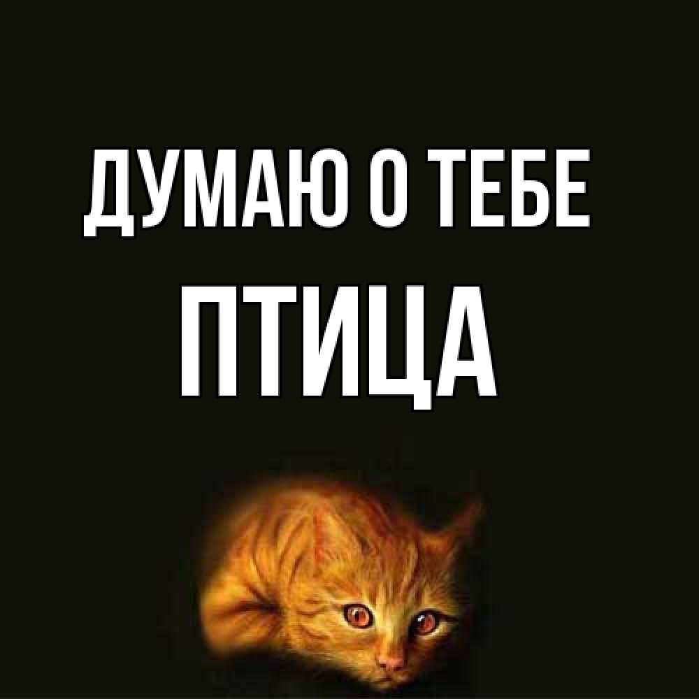 Открытка на каждый день с именем, Птица Думаю о тебе рыжий Прикольная открытка с пожеланием онлайн скачать бесплатно 