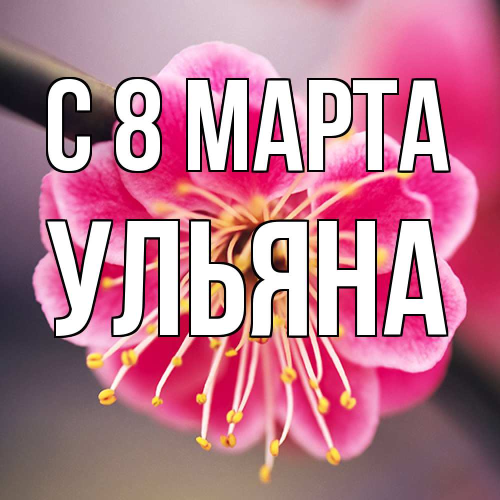 Открытка на каждый день с именем, Ульяна C 8 МАРТА цветы Прикольная открытка с пожеланием онлайн скачать бесплатно 